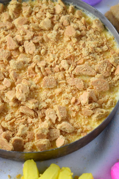 Graham-Cracker crust of Coconut Peeps S'more Creme Brulee