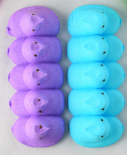 Purple and Blue Peeps for Coconut Peeps S'more Creme Brulee