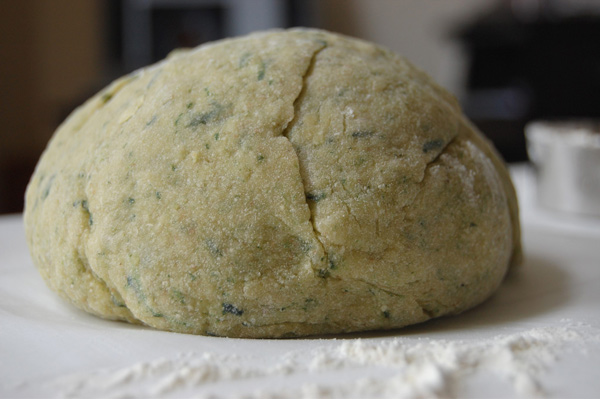 Homemade Spinach Fettuccine Pasta Dough