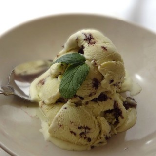 Homemade Mint Chocolate Ice Cream