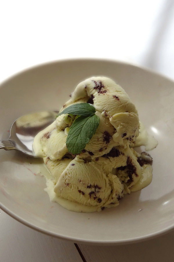 Homemade Fresh Mint Chocolate Ice Cream