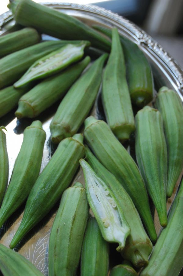 Bindi - Okra