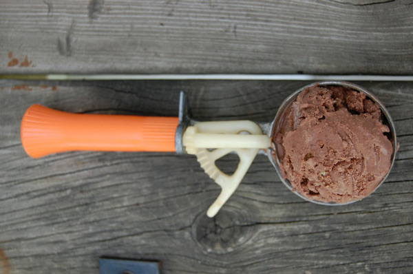 Eggless Chocolate Chip Cookie Ice Cream