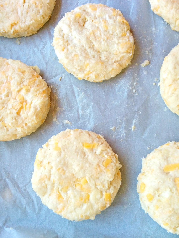 Cheddar Biscuits Dough Cut Outs