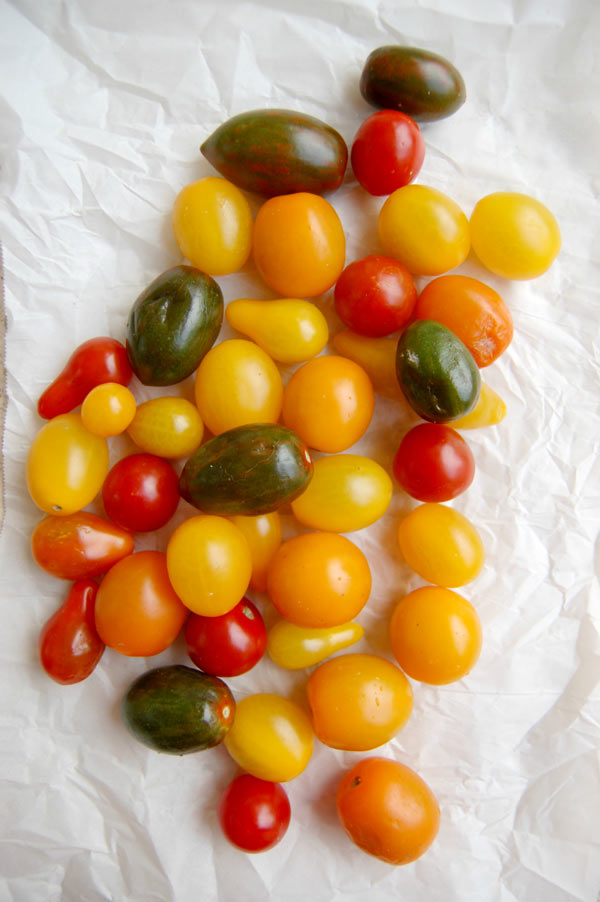 Heirloom Tomato for Tomato Tart