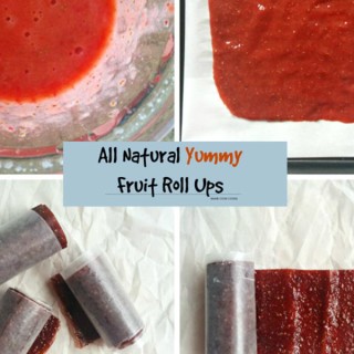 All Natural Fruit Roll Ups