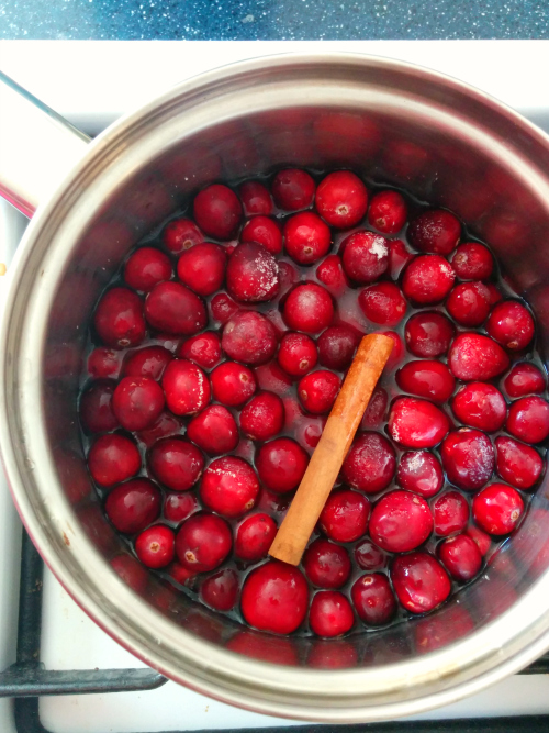 cranberry for Cranberry Pizza
