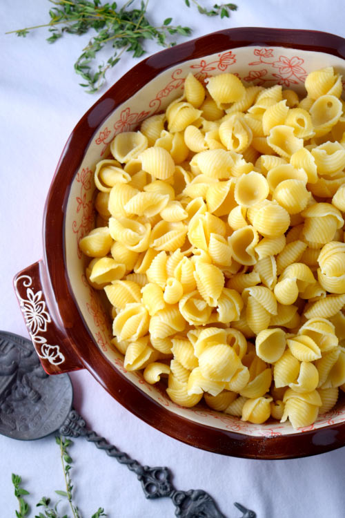 Shell Pasta for 3 Cheese Jalapeno Mac & Cheese