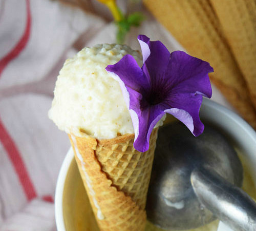 Tres Leches Rice Pudding Ice Cream