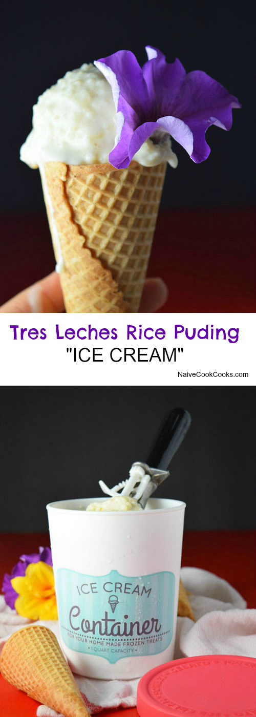 Tres Leches Rice Pudding Ice Cream for Pinterest