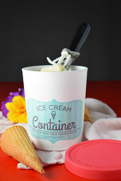 Tres Leches Rice Pudding Ice Cream in Container