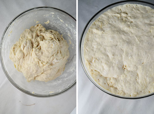 Fast No Knead Bread Dough