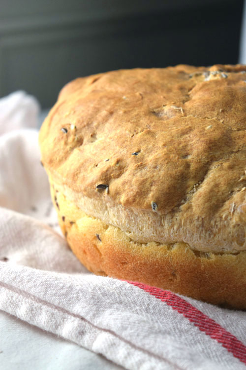 Loft of Fast No Knead Bread