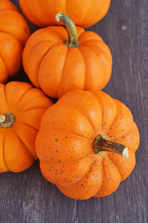 Pumpkin for Roast Garlic Pumpkin Rice