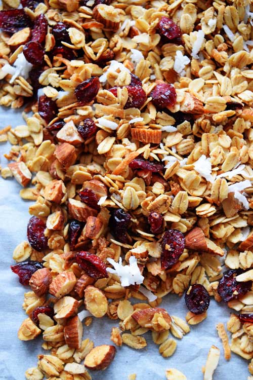 Homemade Cranberry Coconut Granola 1