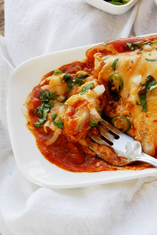 Saucy Wet Burrito