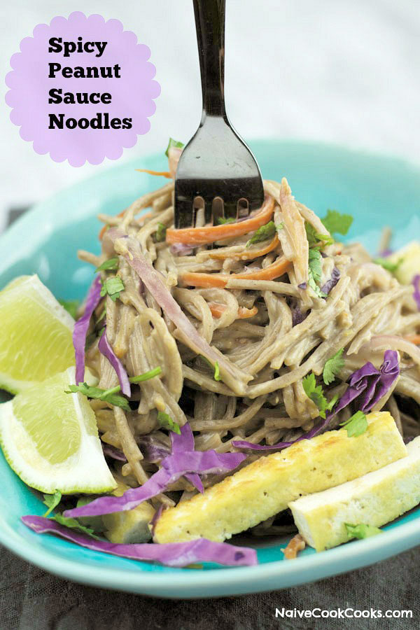 spicy peanut sauce noodles 1 title