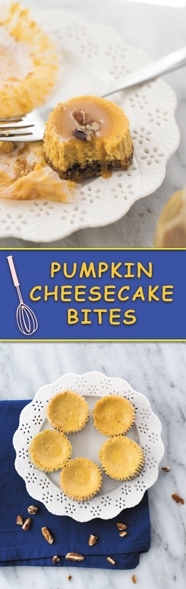 Pumpkin Cheesecake Bites - Delicious Pumpkin Cheesecake in bite forms, easy to serve with caramel sauce and chopped pecans! A perfect fall treat.