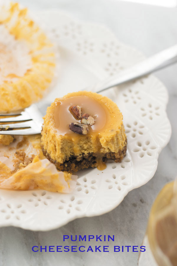 Pumpkin Cheesecake Bites - Delicious Pumpkin Cheesecake in bite forms, easy to serve with caramel sauce and chopped pecans! A perfect fall treat.