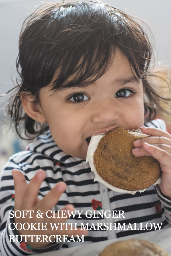 Soft & Chewy Ginger Cookies TITLE