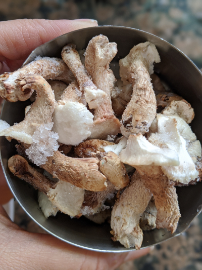 raw mushrooms